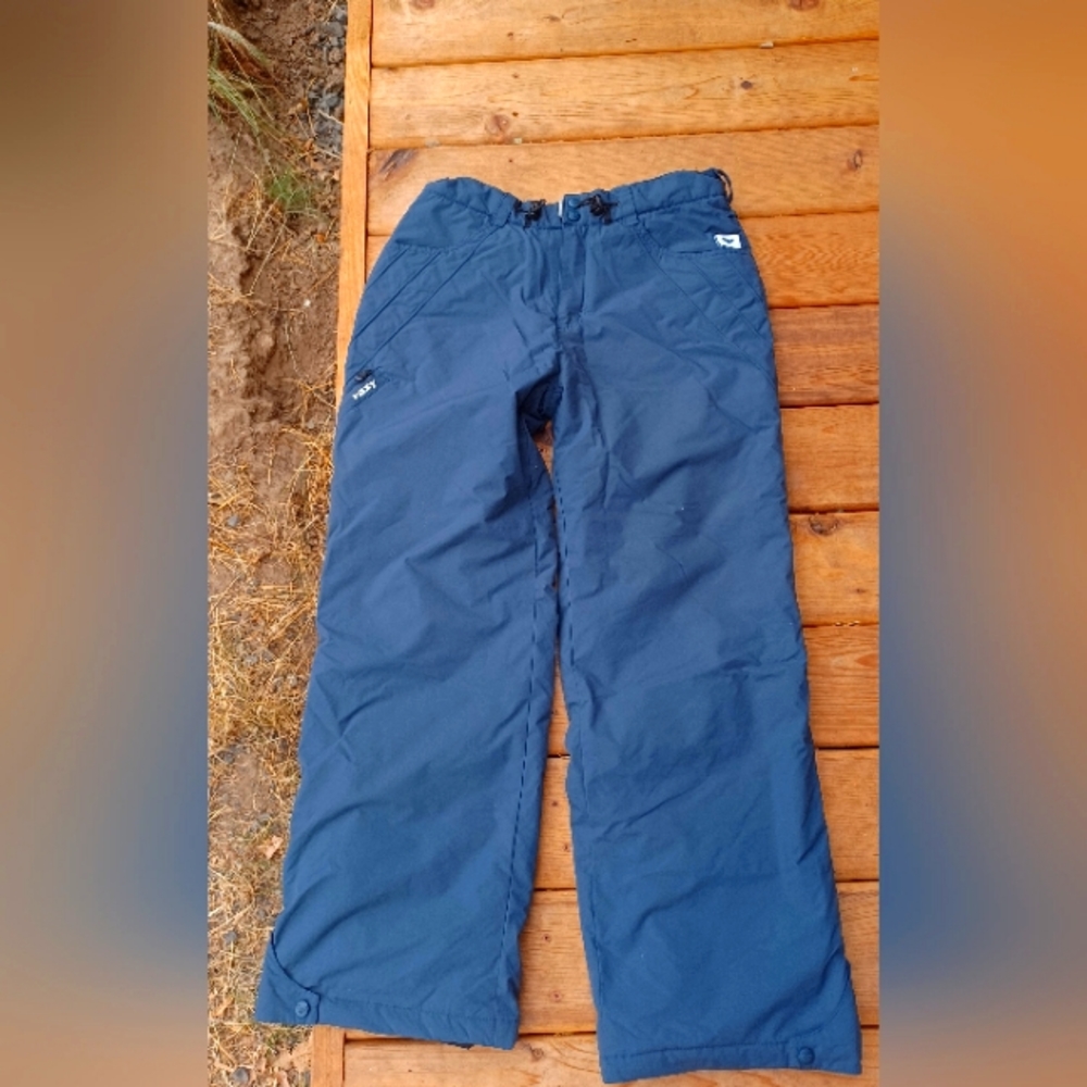 Roxy x-series Blue snowpants